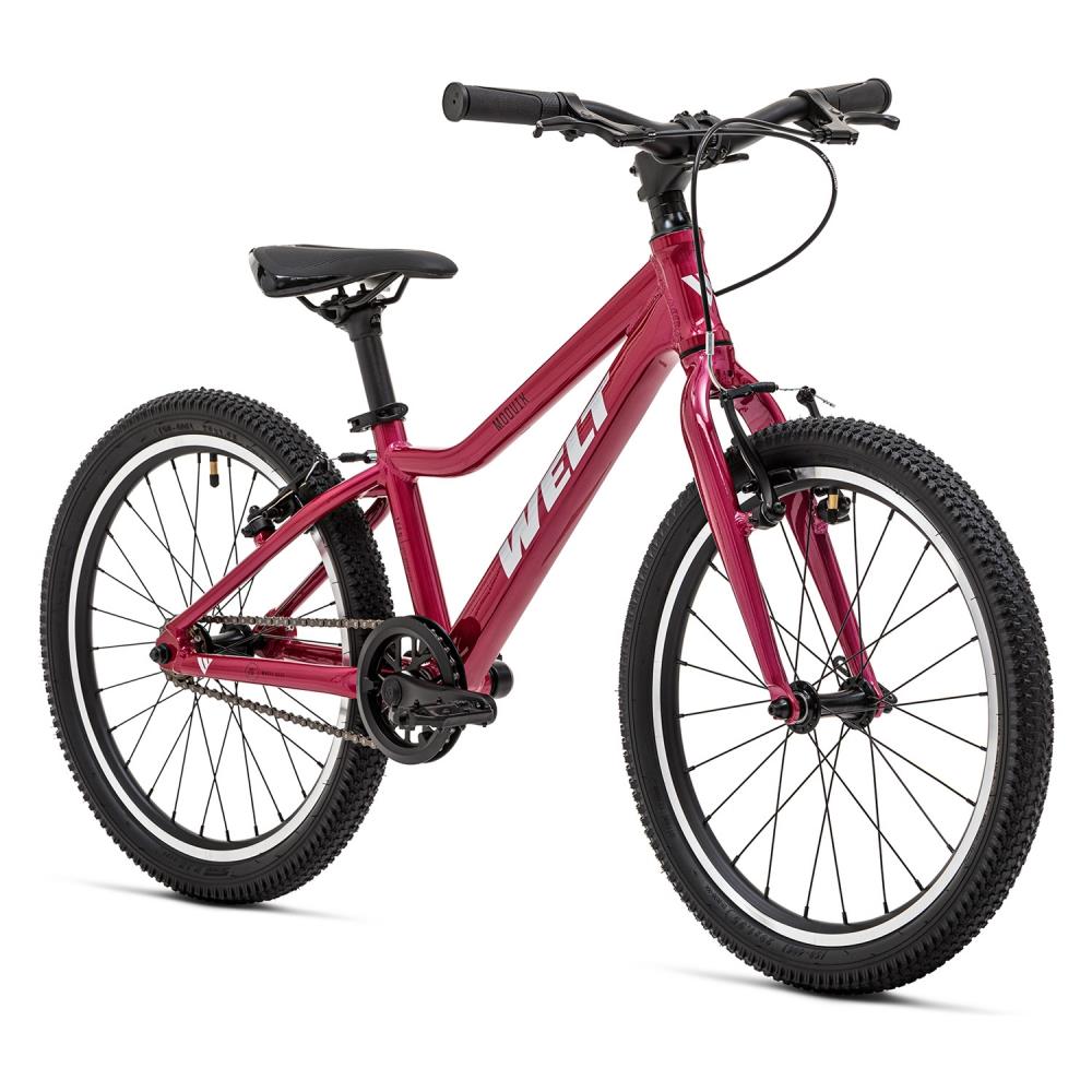 Велосипед Welt 25 Moovix 1.0 20 V Велосипед Welt 25 Moovix 1.0 20 V
