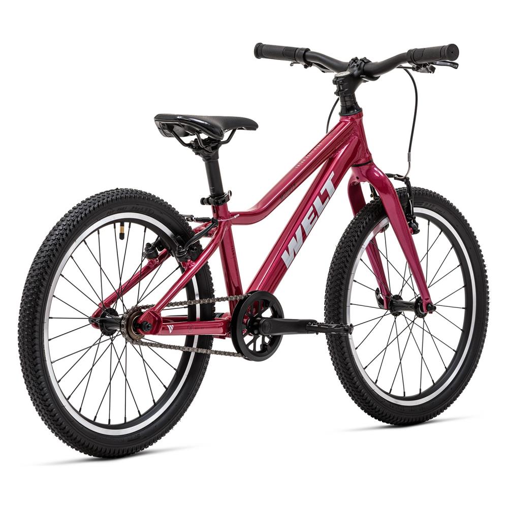 Велосипед Welt 25 Moovix 1.0 20 V Велосипед Welt 25 Moovix 1.0 20 V