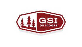 GSI GSI